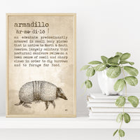 Armadillo Definition Poster