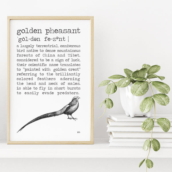 Golden Pheasant Definition Poster