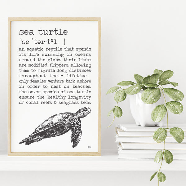 Sea Turtle Definition Poster