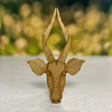 Bongo Shelf Bust