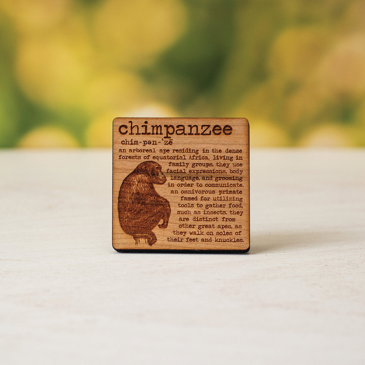 Chimp Definition Magnet – Rack and Plume