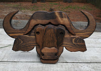 Cape Buffalo Bust