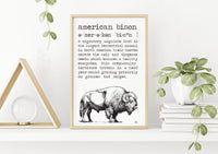 American Bison Definition Poster