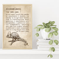 Chameleon Definition Poster