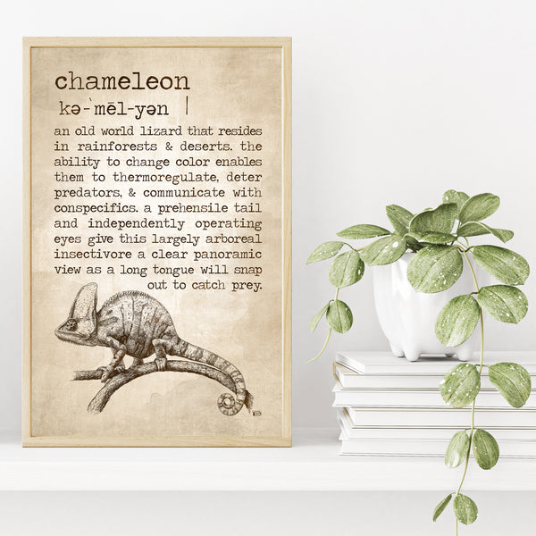 Chameleon Definition Poster