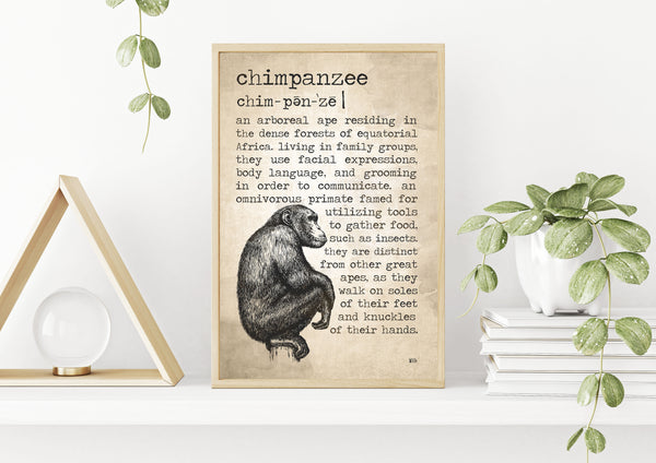 Chimpanzee Definition Poster