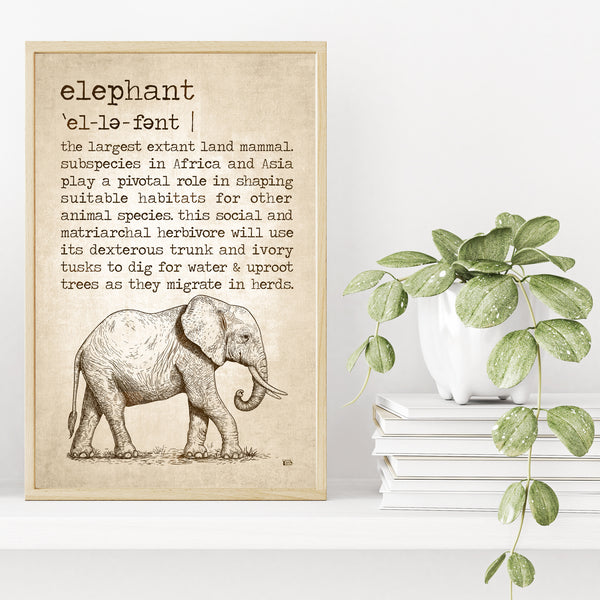 Elephant Definition Poster