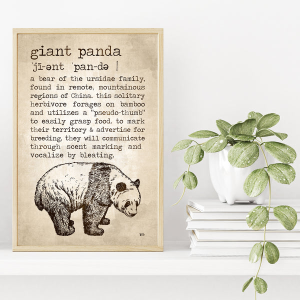 Giant Panda Definition Poster