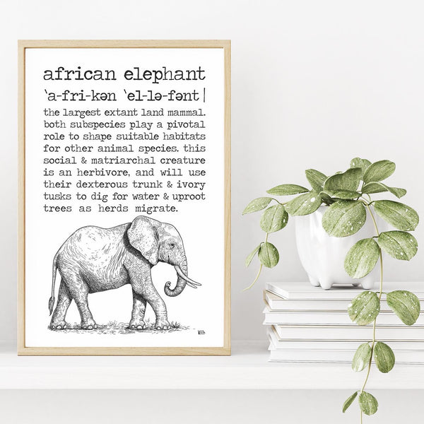 African Elephant Definition Poster