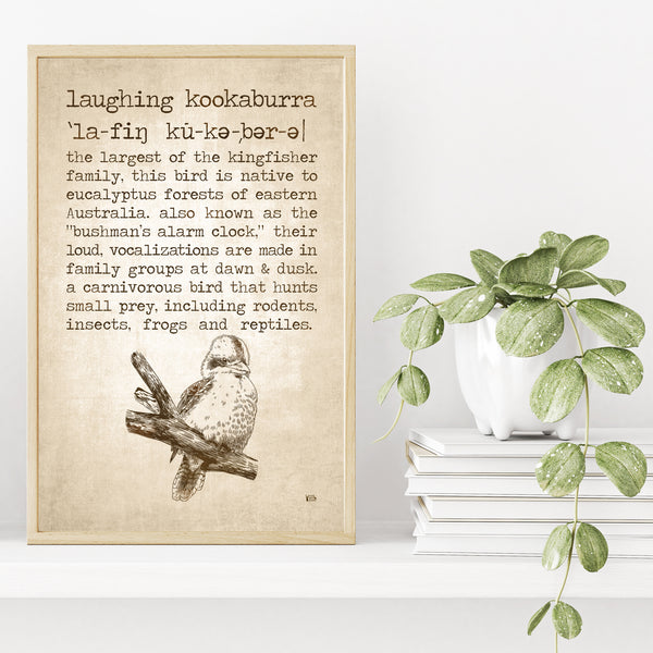 Kookaburra Definition Poster