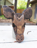 Okapi Bust