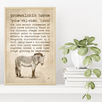 Przewalski's Horse Definition Poster