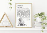Walrus Definition Poster